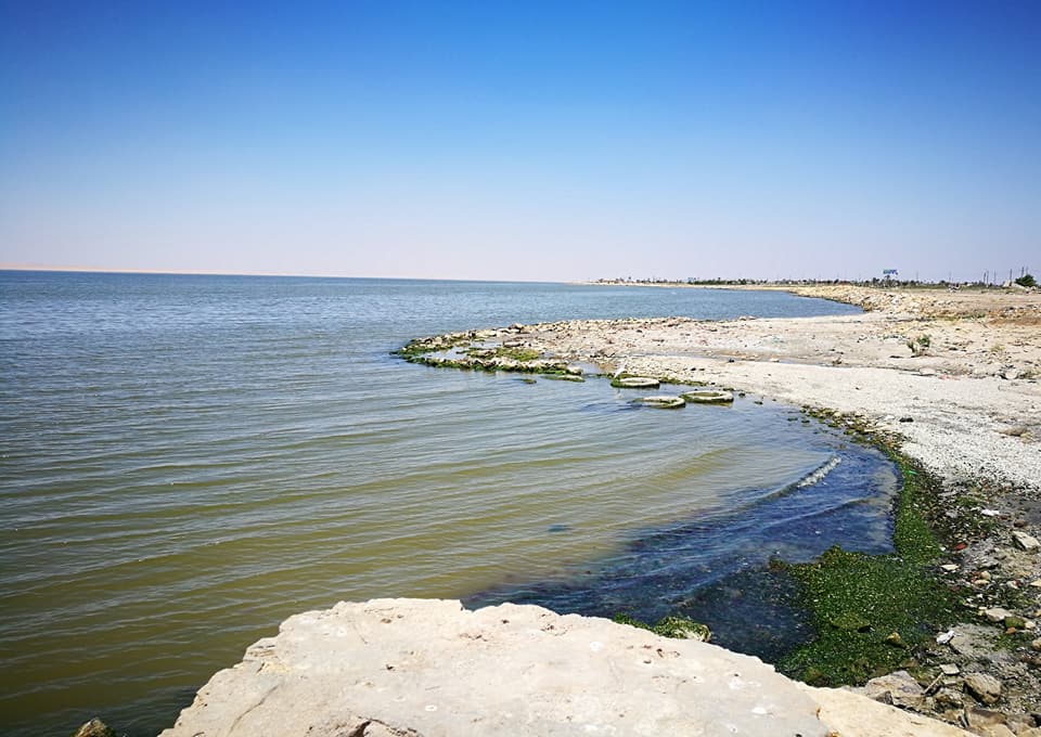 El Fayoum Overday Trip from Cairo or Giza 
