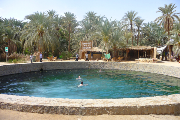 Baharia  Oasis Safari at The Back and White Desert 