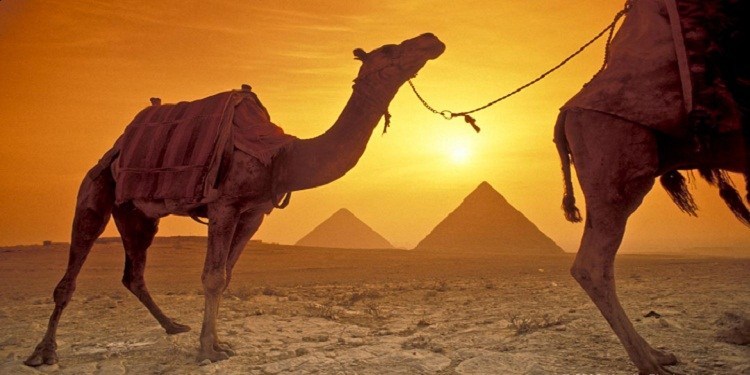 Explore The Sunset or Sunrise at Giza Pyramids By camel or  horse riding 