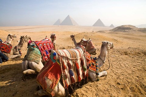 Explore The Sunset or Sunrise at Giza Pyramids By camel or  horse riding 